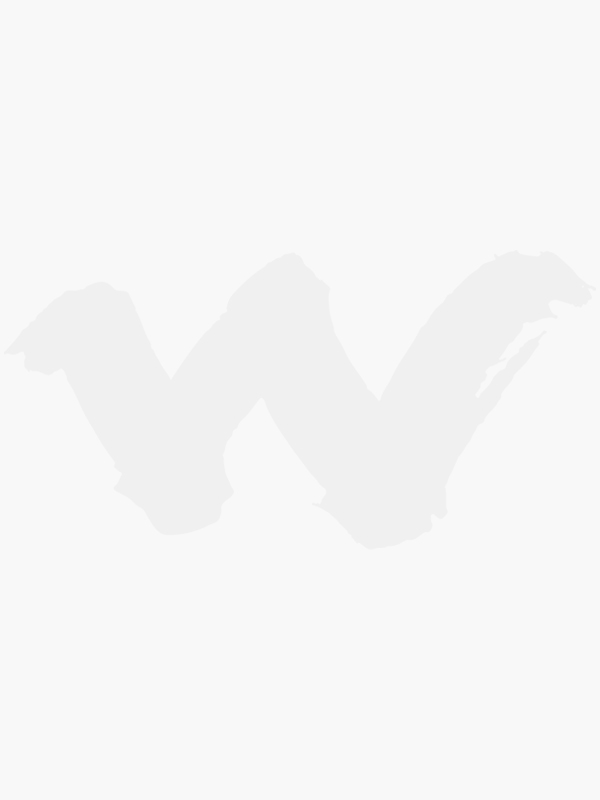 Wildcraft trolley bags store online